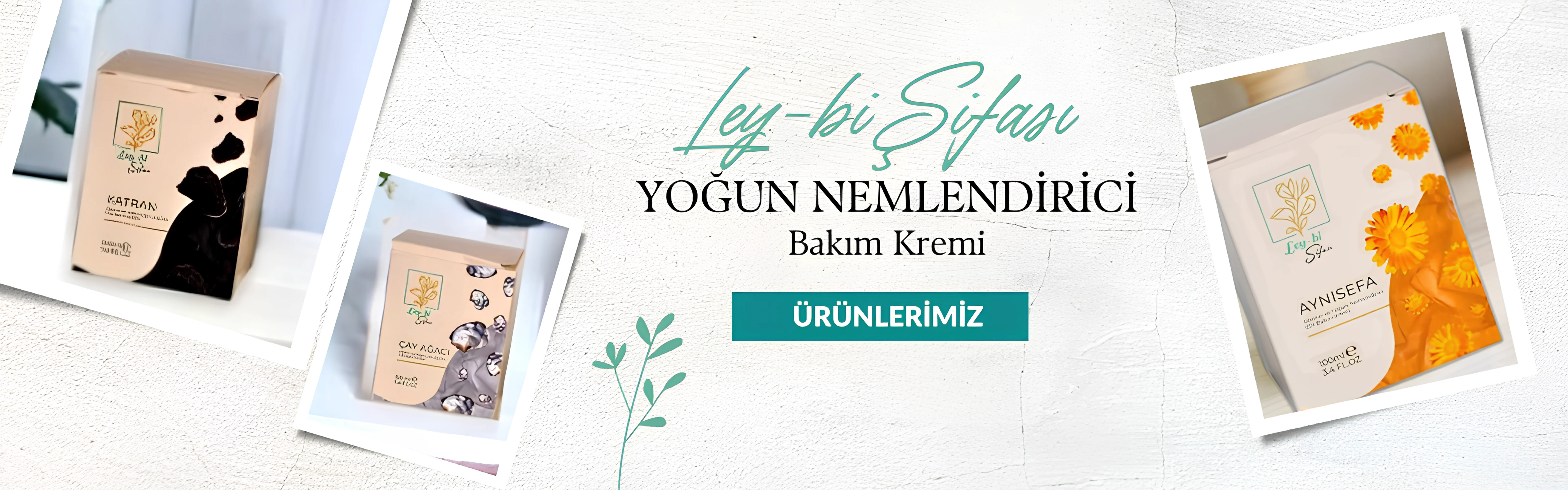 headerana sayfa